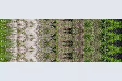 0 Nc Highway 33, Tarboro, NC 27886 - Photo 33