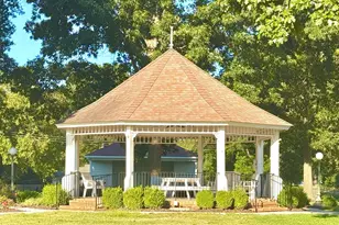 257 Pecan Vly Wy, Four Oaks, NC 27524 - Photo 31