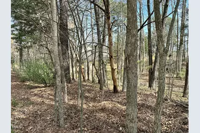 5034 Mimosa Drive, Durham, NC 27713 - Photo 5