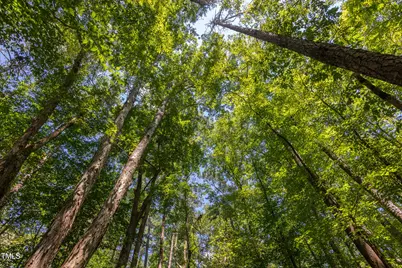 4515 Chicopee Trail, Durham, NC 27707 - Photo 3