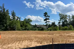 713 Ahad Ct, Apex, NC 27523 - Photo 23