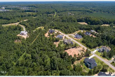 236 Emelia Lane, Pittsboro, NC 27312 - Photo 3