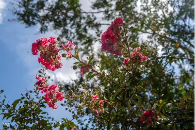 4621 Woodridge Drive, Raleigh, NC 27612 - Photo 7