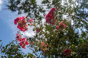 4621 Woodridge Dr, Raleigh, NC 27612 - Photo 7