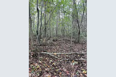 2865 Silk Hope Gum Springs Road, Pittsboro, NC 27312 - Photo 5