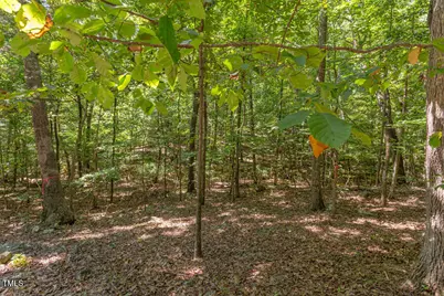 204 Alta Court, Chapel Hill, NC 27514 - Photo 7