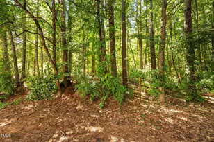 214 Towne Ridge Ln, Chapel Hill, NC 27516 - Photo 31