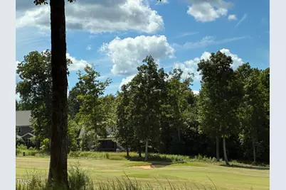 48 Sweet Meadow Lane, Pittsboro, NC 27312 - Photo 9