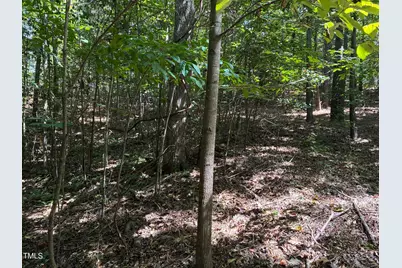 48 Sweet Meadow Lane, Pittsboro, NC 27312 - Photo 3