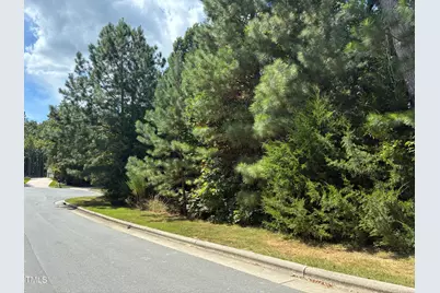 44 Sweet Meadow Lane, Pittsboro, NC 27312 - Photo 5