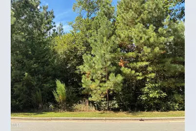 44 Sweet Meadow Lane, Pittsboro, NC 27312 - Photo 7