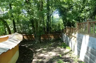 407 Ottawa Ave, Durham, NC 27701 - Photo 29