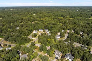 101 Elk River Ct, Mebane, NC 27302 - Photo 49