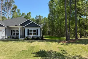 20 Lemon Drop Ln, Franklinton, NC 27525 - Photo 23
