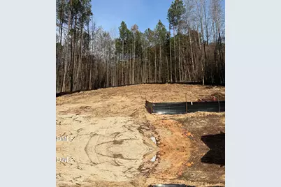 20 Lemon Drop Lane, Franklinton, NC 27525 - Photo 19