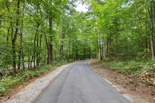 5373 Mill Dam Rd, Wake Forest, NC 27587 - Photo 67