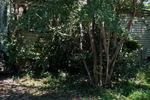 2300 S Alston Ave, Durham, NC 27707 - Photo 5