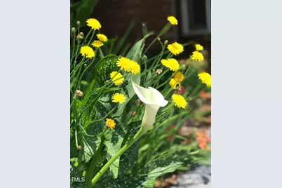 120 Chuckwagon, Louisburg, NC 27549 - Photo 73