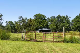 2892 Silk Hope Liberty Rd, Siler City, NC 27344 - Photo 67