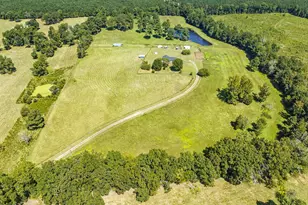 2892 Silk Hope Liberty Rd, Siler City, NC 27344 - Photo 49