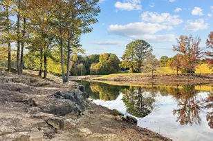 745 Sagamore Dr, Louisburg, NC 27549 - Photo 49