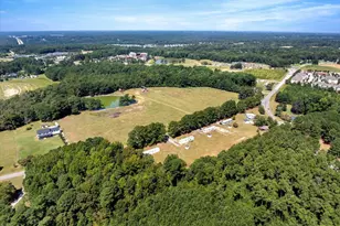 2172 Amelia Church Rd Rd, Clayton, NC 27520 - Photo 89