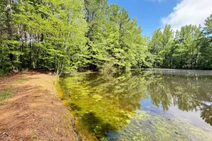 2229 Lizard Lick Rd, Zebulon, NC 27597 - Photo 47