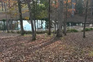 1302 Rocky Ford Rd, Louisburg, NC 27549 - Photo 17