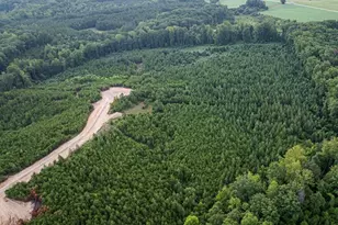 585 Hines Ridge Rd, Yanceyville, NC 27379 - Photo 1