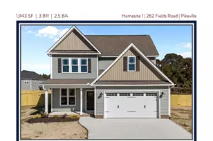 262 Fields Road NW, Pikeville, NC 27863 - Photo 3