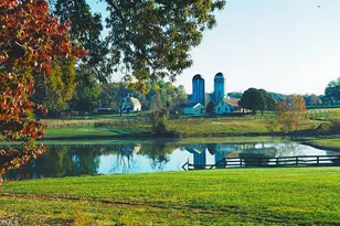 418 Quail Roost Farm Rd, Rougemont, NC 27572 - Photo 9
