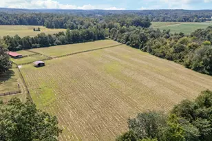 418 Quail Roost Farm Rd, Rougemont, NC 27572 - Photo 93