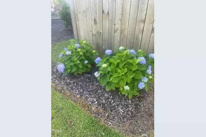 154 Gobbler Hill Trail, Willow Springs, NC 27592 - Photo 31