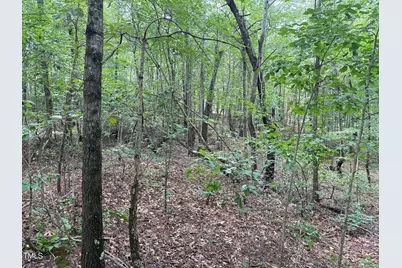 00 Rock Quarry Road, Pelham, NC 27311 - Photo 25