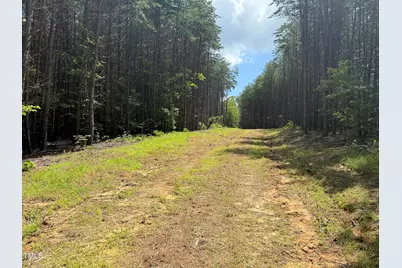 00 Rock Quarry Road, Pelham, NC 27311 - Photo 17