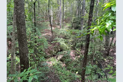 00 Rock Quarry Road, Pelham, NC 27311 - Photo 27