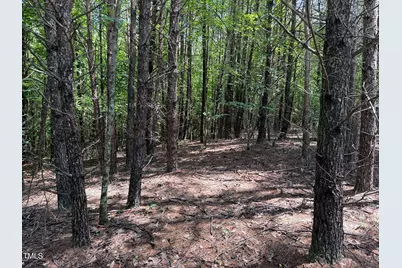 00 Rock Quarry Road, Pelham, NC 27311 - Photo 9