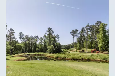 72 Brown Bear, Chapel Hill, NC 27517 - Photo 13