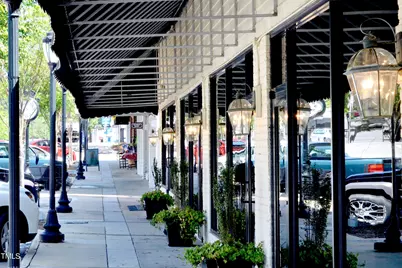 257 Douglas Falls Drive, Wendell, NC 27591 - Photo 29