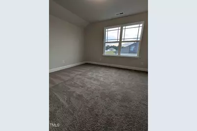 582 Sweet Potato Lane Lane #Lot 39, Nashville, NC 27856 - Photo 21