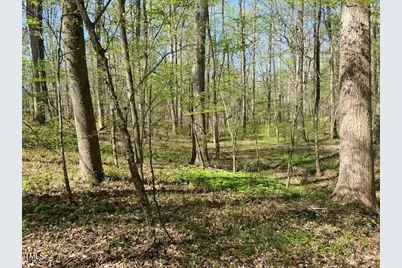 1455 Dimmocks Mill Road, Hillsborough, NC 27278 - Photo 9