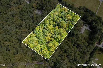 1455 Dimmocks Mill Road, Hillsborough, NC 27278 - Photo 13