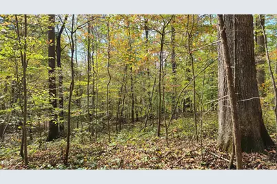 1455 Dimmocks Mill Road, Hillsborough, NC 27278 - Photo 7