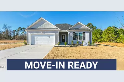 205 Hookbill Lane #Lot 17, Lillington, NC 27546 - Photo 1