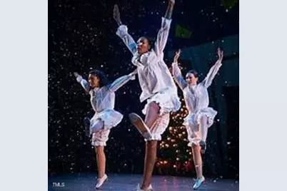 2031 Trident Maple Lane, Chapel Hill, NC 27517 - Photo 25