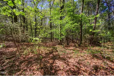 0 Willie Duncan Road, Siler City, NC 27344 - Photo 3