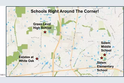 2534 Vining Branch Way, Apex, NC 27523 - Photo 37