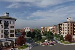 2534 Vining Br Wy, Apex, NC 27523 - Photo 47