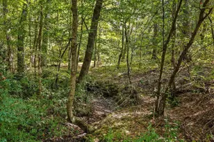 1210 Manco Dairy Rd, Pittsboro, NC 27312 - Photo 95