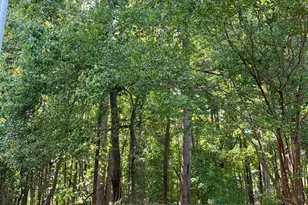 109 Lacombe Ct, Holly Springs, NC 27540 - Photo 19